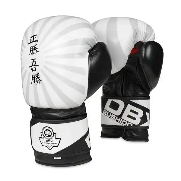 Horká Nabídka Boxerské rukavice DBX BUSHIDO B-2v8