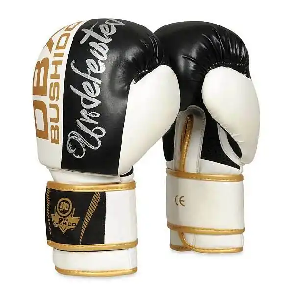 Aktuální Boxerské rukavice DBX BUSHIDO B-2v16