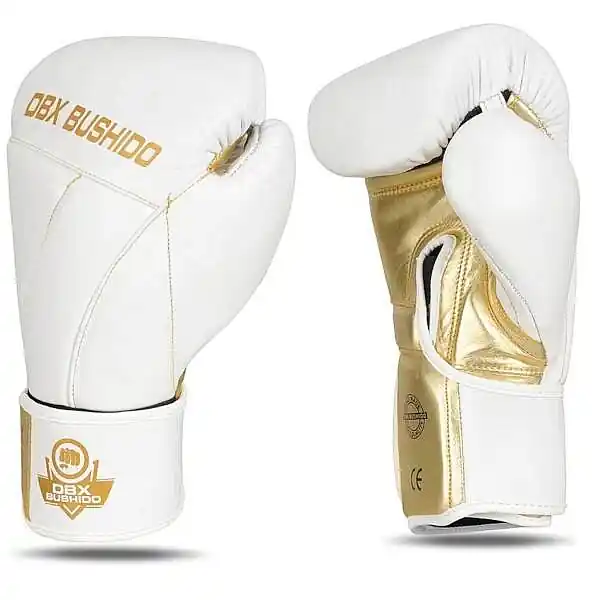 Značkový Boxerské rukavice DBX BUSHIDO B-2v19