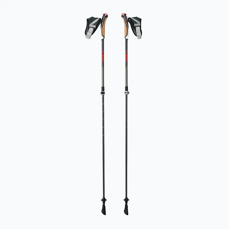 Levný Hole na nordic walking LEKI Instructor Lite černo-stříbrne 65326341