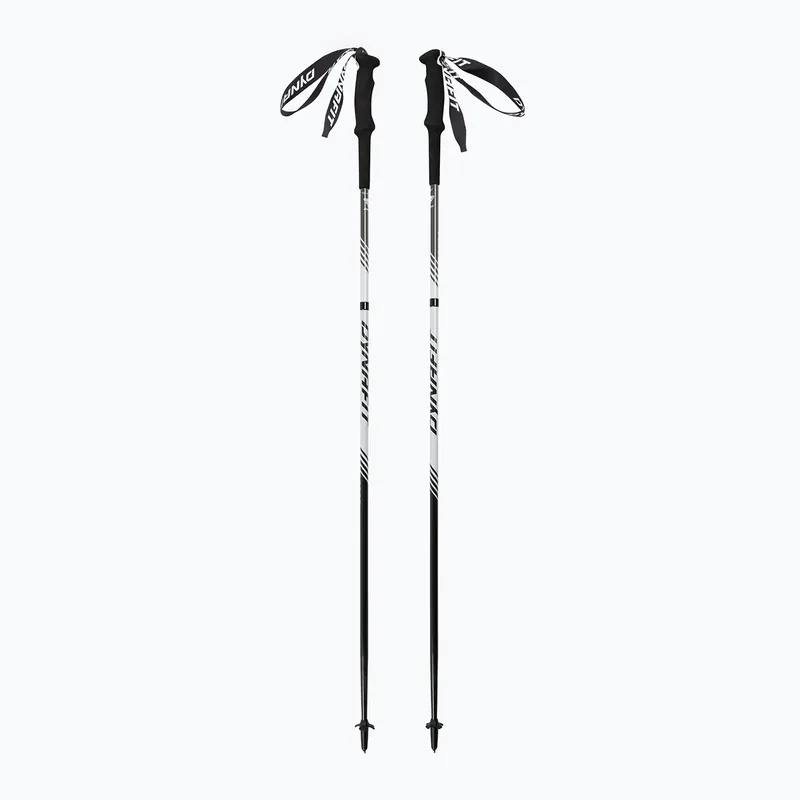 Běžecké hole DYNAFIT Alpine Pro nimbus Víkendová Akce