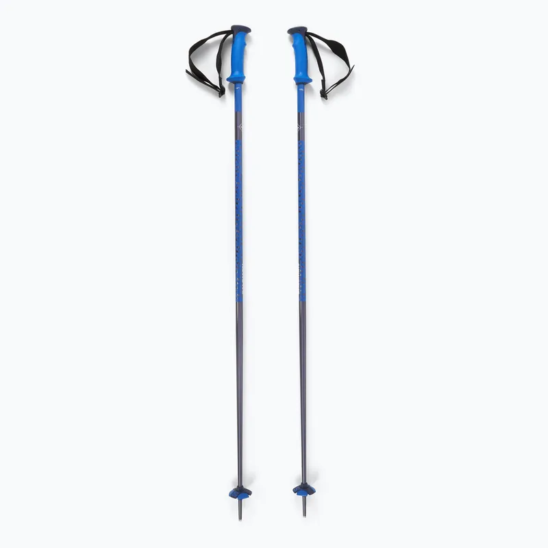 Levný Lyžařské hole Salomon Polar Pro race blue
