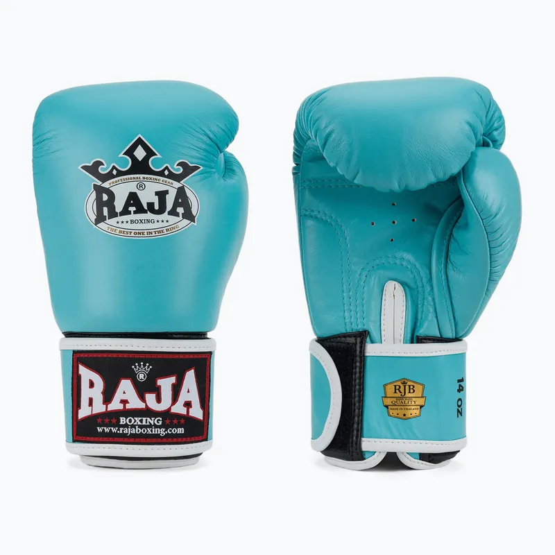 Ihned K Objednání Boxerské rukavice RAJA BOXING Single Standard Genuine Leather light blue