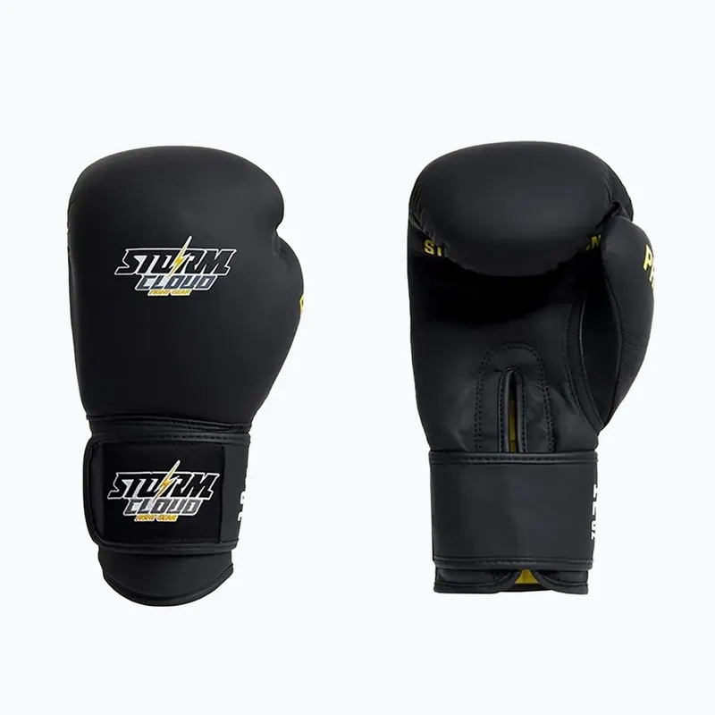 Hit Sezóny Boxerské rukavice StormCloud Boxing Pro black