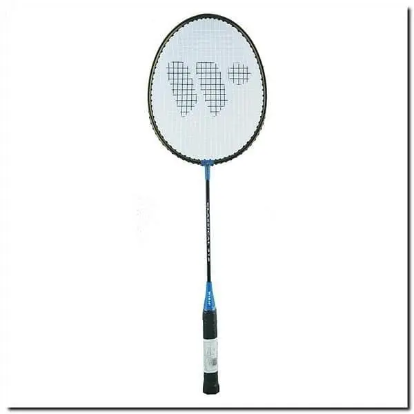 Oblíbený BADMINTONOVÁ RAKETA WISH 316 MODRÁ