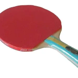 Výprodej Pálka na stolní tenis DHS 202