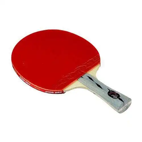 Tovární Cena Pálka na stolní tenis DHS X3002 AKCE SLEVA