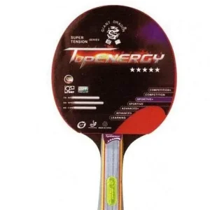 Pálka na stolní tenis ITTF GIANT DRAGON 5* Expresní Doručení