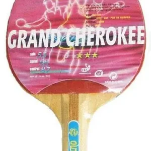 Značkový Pálka na stolní tenis GD 306 CHEROKEE GIANT DRAGON