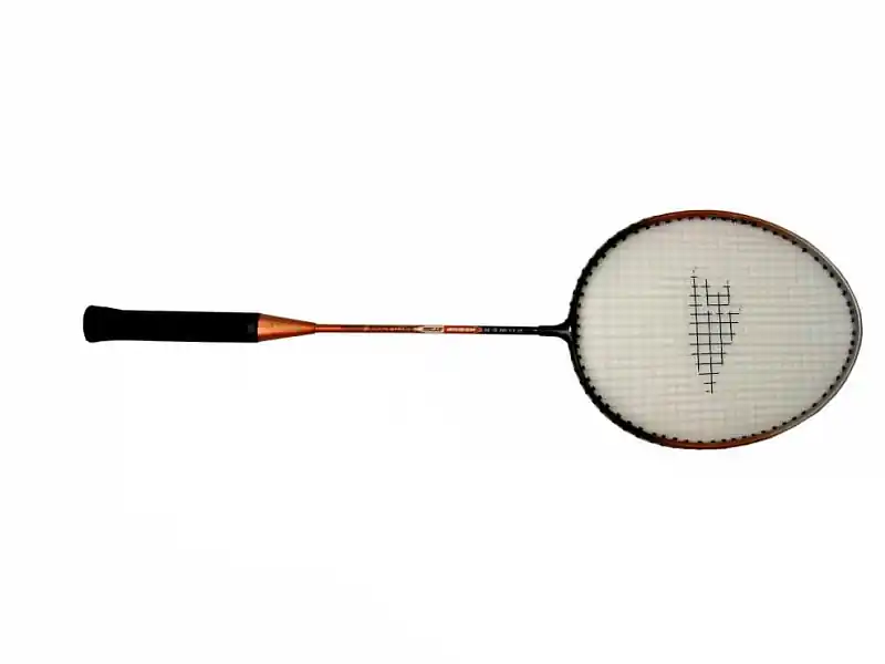 Ihned K Objednání Badmintonová raketa POWER DEMON RICKY AT316 ALU - Oranžová