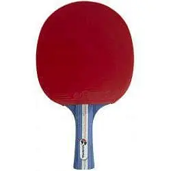 Pálka na stolní tenis PREMIUM 4hvězdy RICHMORAL Cenový Hit