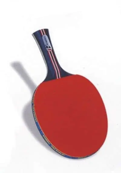 Pálka na stolní tenis RICHMORAL ULTRA 5* Sleva