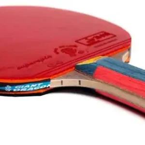 Pálka na stolní tenis GIANT DRAGON SUPERSPIN G4 6* Poslední Šance
