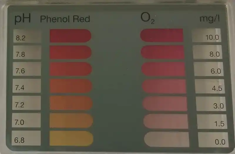 Tester na bezchlorovou chemii (O2) Ihned K Objednání