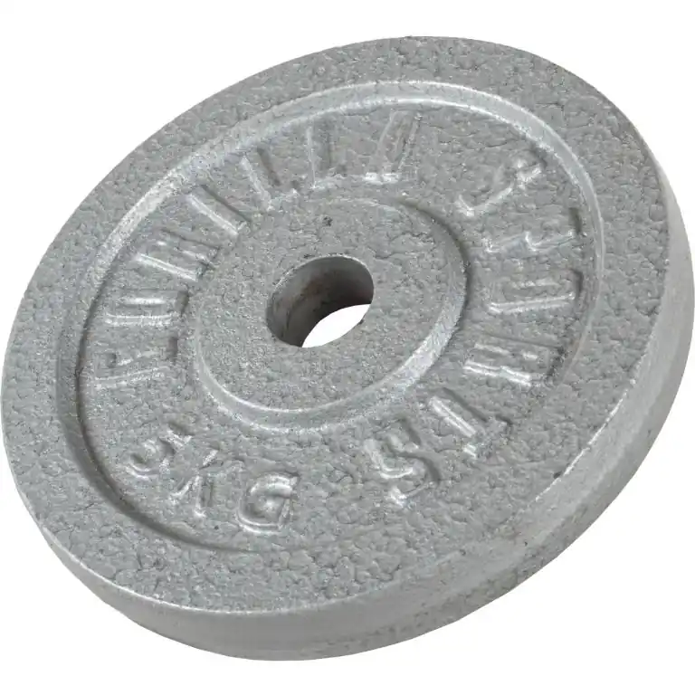 Gorilla Sports Litinový zátěžový kotouč, stříbrná, 5 kg Vysoce Kvalitní