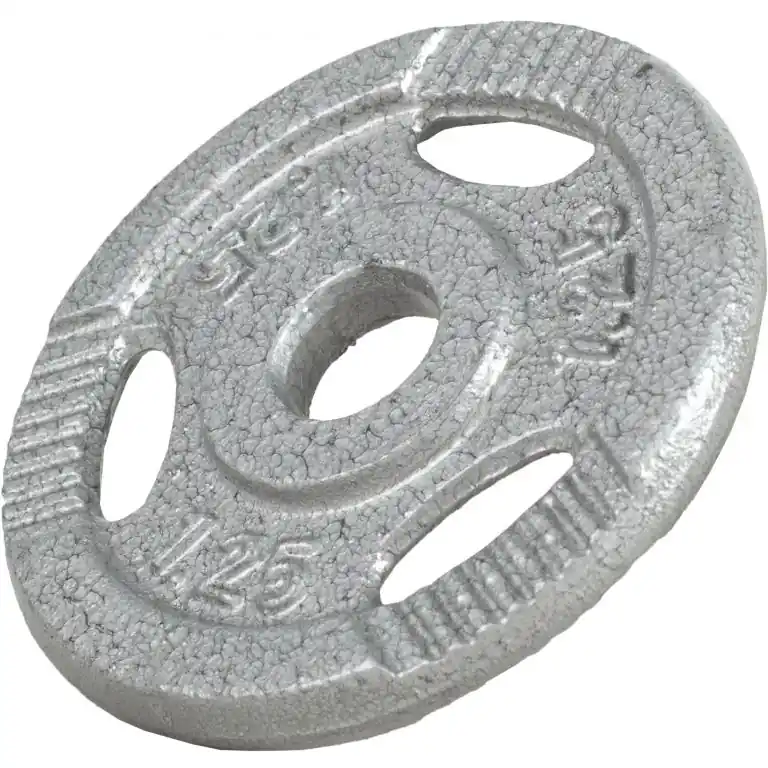 Gorilla Sports Litinový zátěžový kotouč, stříbrná, 1,25 kg Výprodej