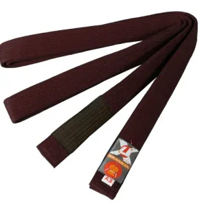 Vrácení Zdarma BRAZILIAN JIU JITSU PÁS NA KIMONO - HNĚDÝ