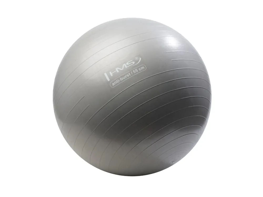 Gymnastický míč HMS YB02N 55 cm šedý Nová Kolekce