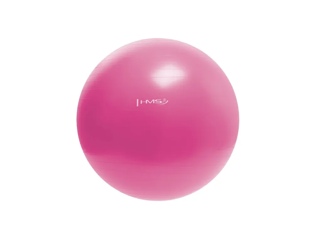 Dokud Zásoby Vydrží Gymnastický míč HMS YB01N 55 cm růžový