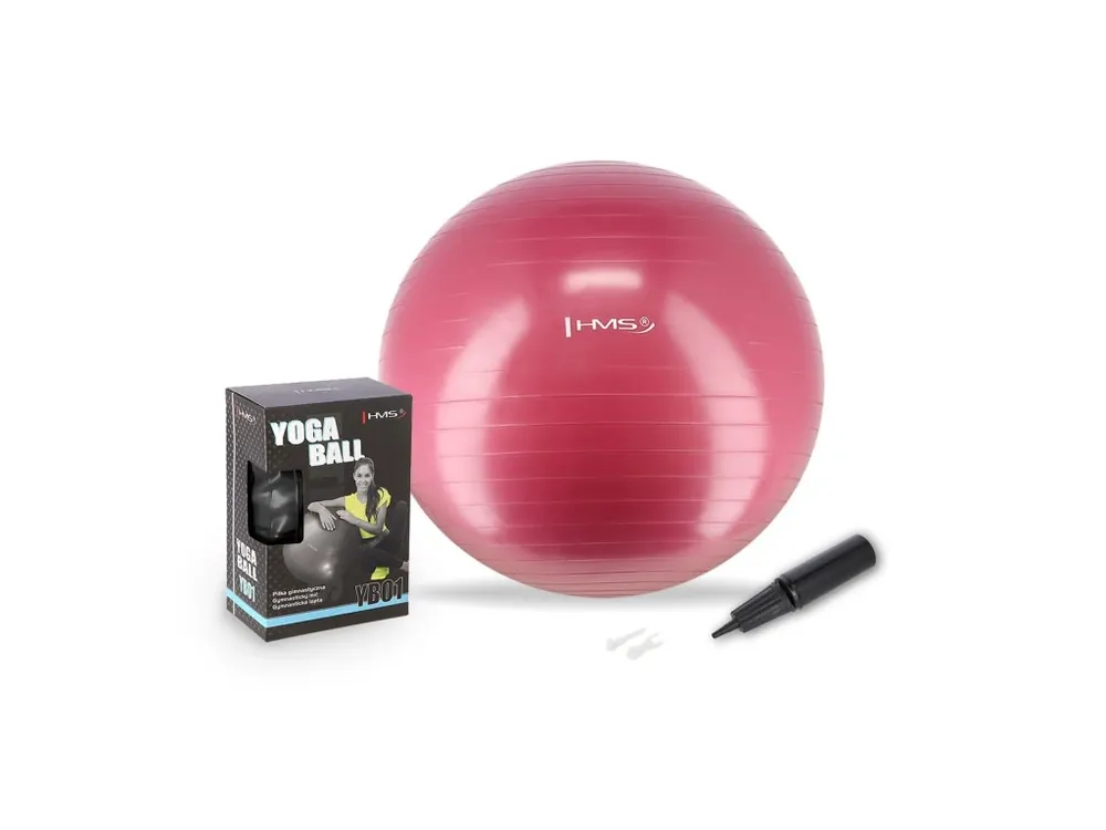 Poslední Šance Gymnastický míč HMS YB01N 65 cm švestkový