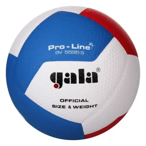 Míč volejbal PRO-LINE GALA BV5595S HANDSHAKE Kup Teď