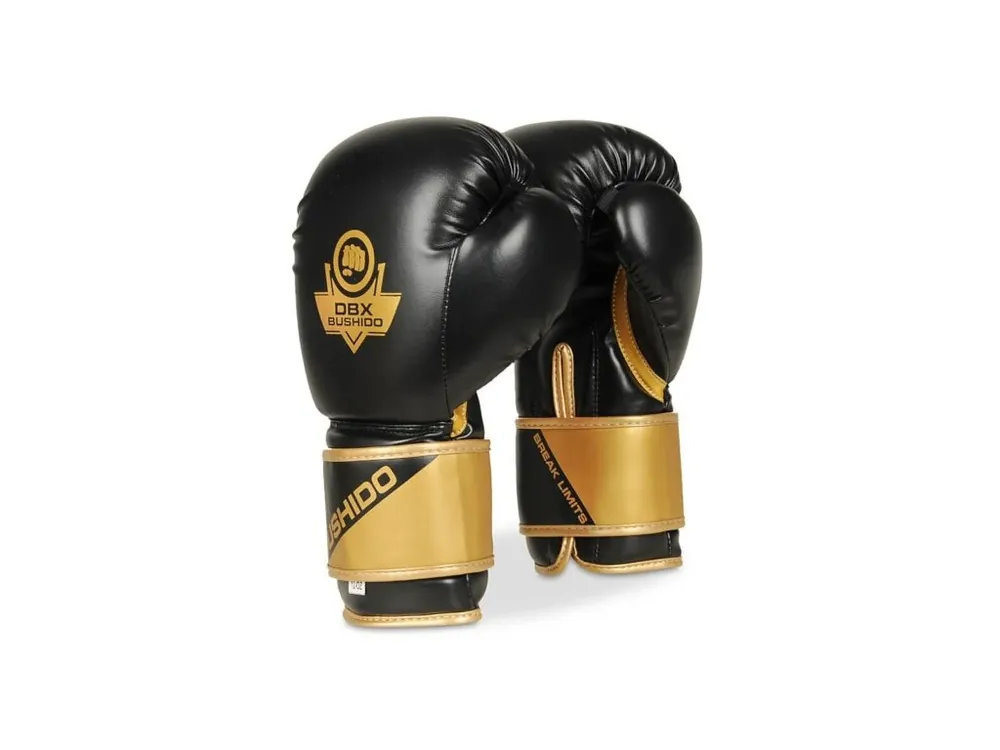 Boxerské rukavice DBX BUSHIDO B-2v10 Novinka