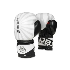 Aktuální Boxerské rukavice DBX BUSHIDO B-2v8
