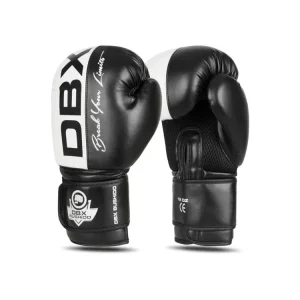 Boxerské rukavice DBX BUSHIDO B-2v20 Ihned K Objednání