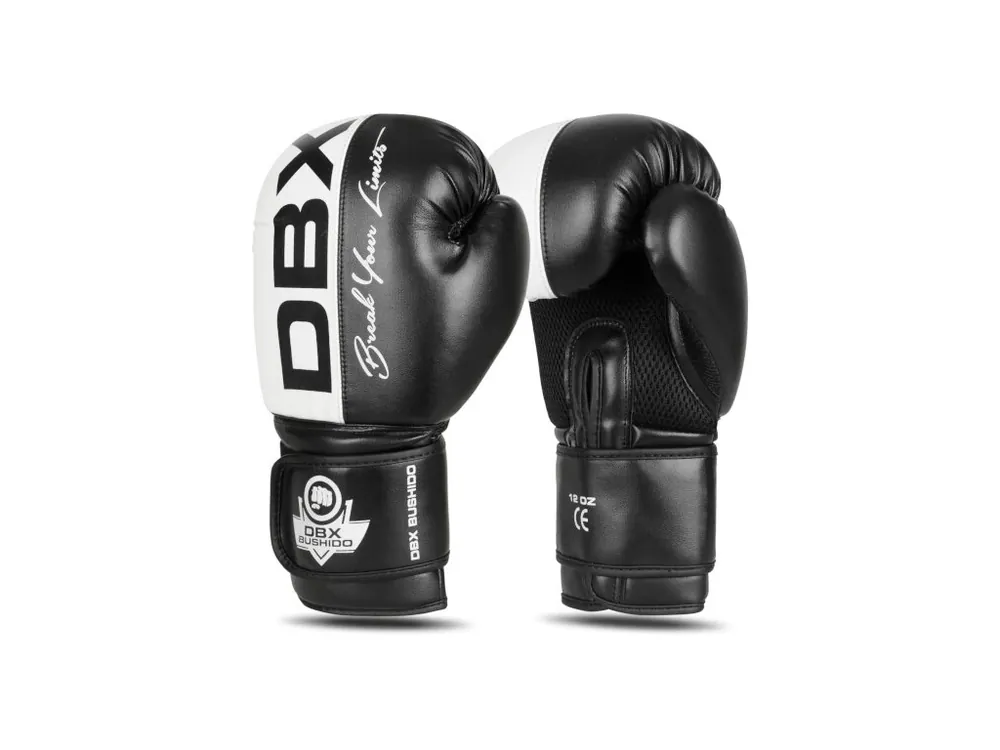 Boxerské rukavice DBX BUSHIDO B-2v20 Ihned K Objednání