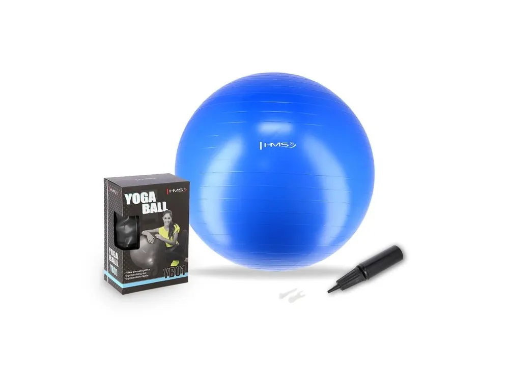 Gymnastický míč HMS YB01N 55 cm modrý Zlevněný