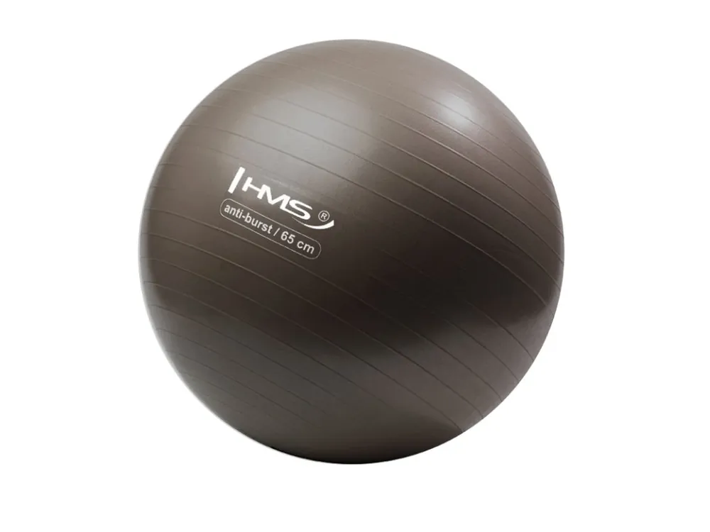 Gymnastický míč HMS YB02N 65 cm bronzový Levný