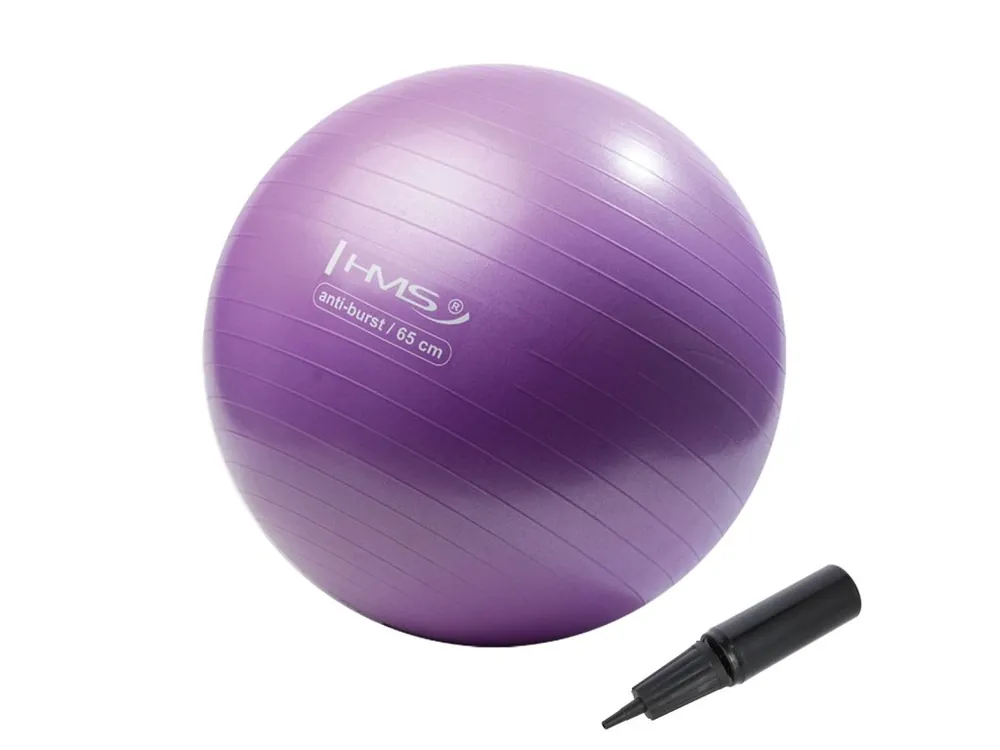 Gymnastický míč HMS YB02N 65 cm fialový Přímo Od Výrobce
