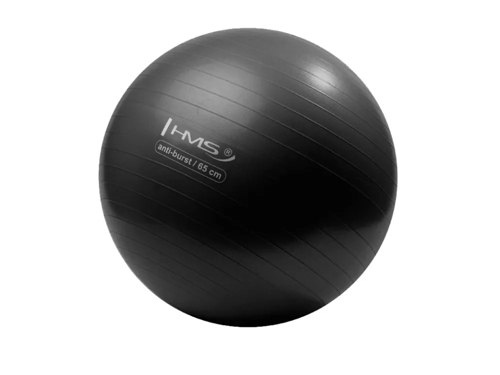 Tovární Cena Gymnastický míč HMS YB02N 65 cm černý
