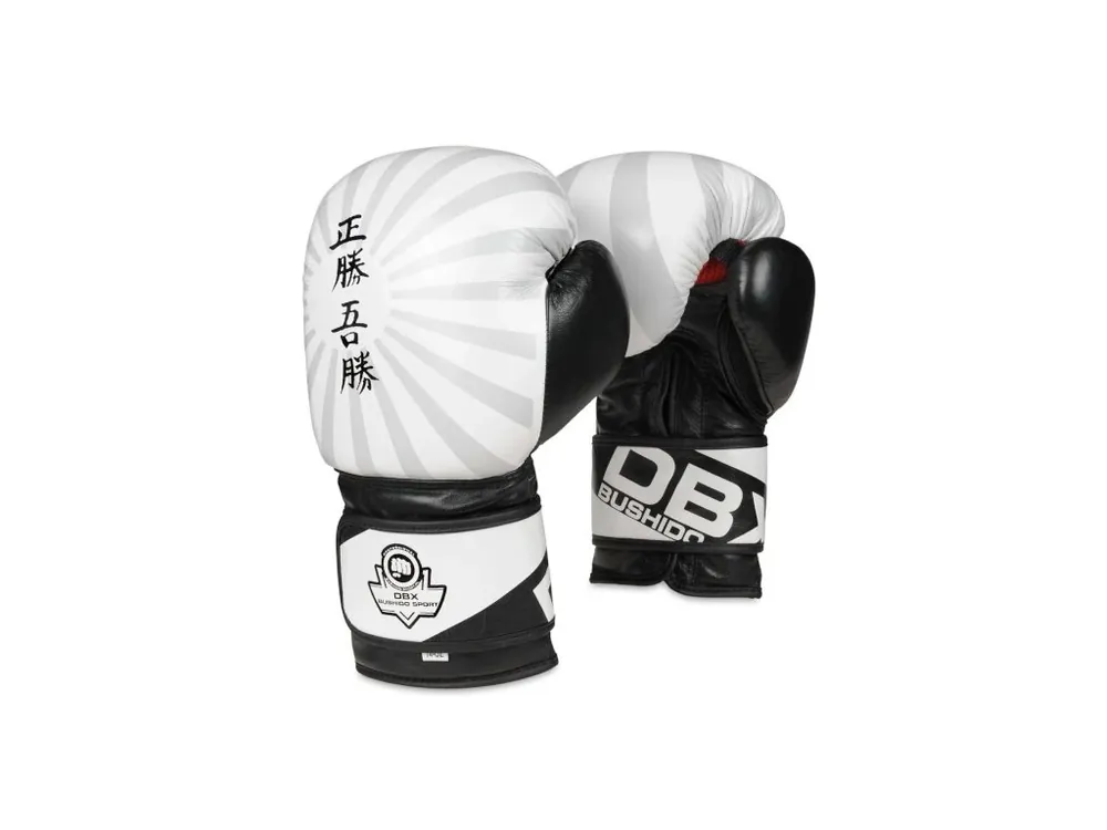 Nízká Cena Boxerské rukavice DBX BUSHIDO B-2v8