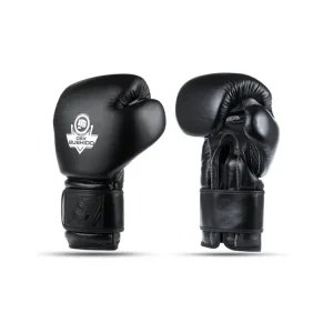 Zlevněný Boxerské rukavice DBX BUSHIDO B-ProFight