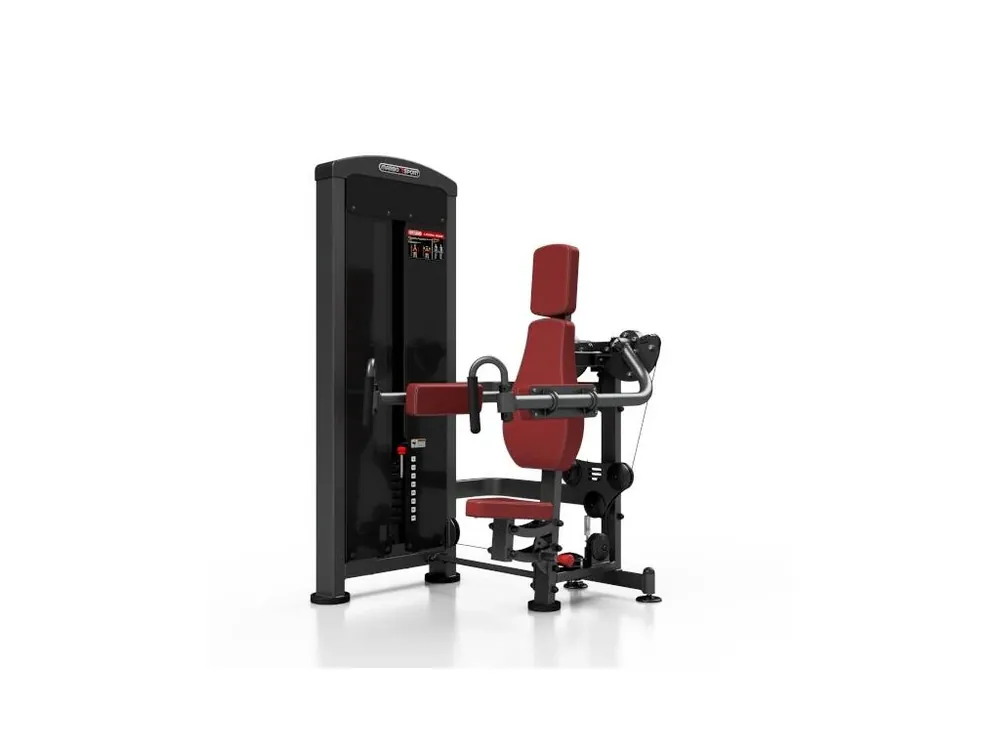 Akce LATERAL RAISE MARBO MP-U228