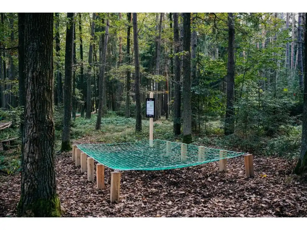 Plazení Speciální Cena