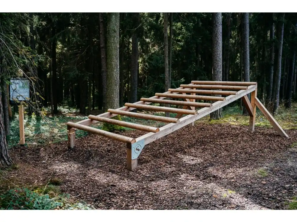 Must-Have Up and Down