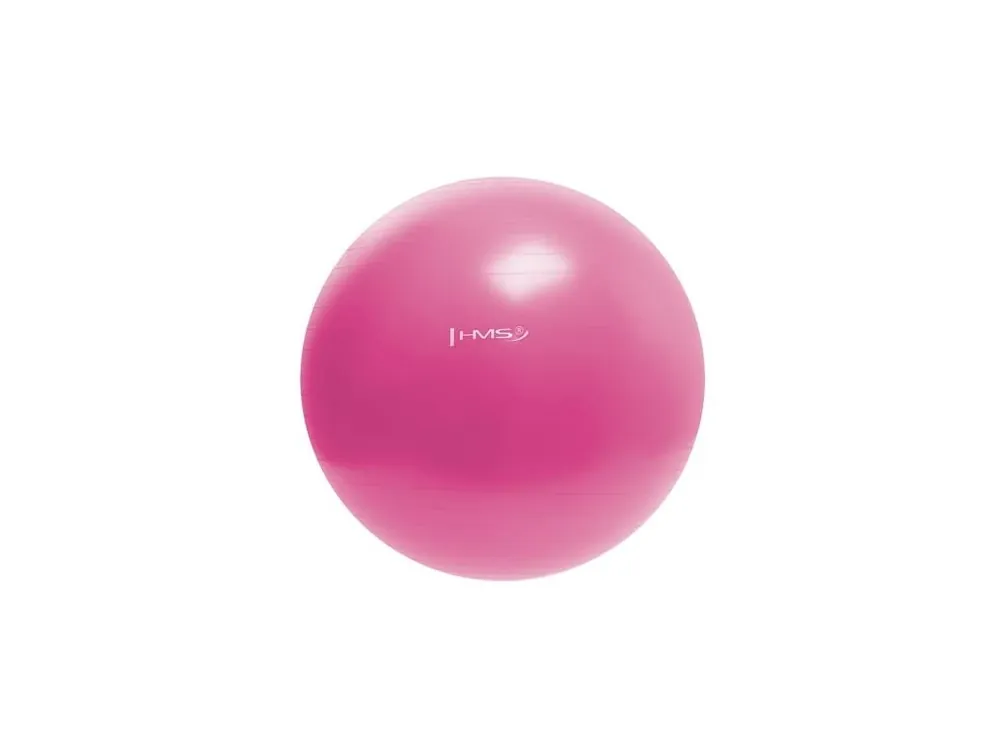 Cenová Bomba Gymnastický míč HMS YB01 55 cm, růžový