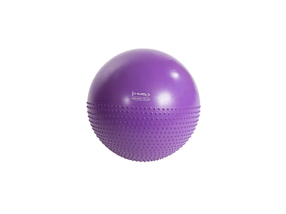Masážní gymnastický míč HMS YB03 55 cm, fialový Vrácení Zdarma