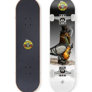 Expresní Doručení Skateboard Street Surfing Street N Roses