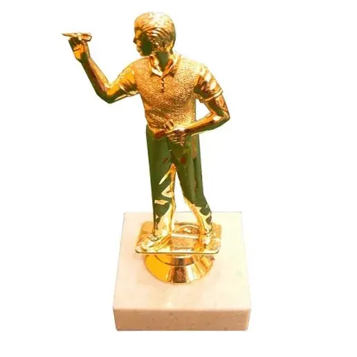 Šipková trofej, hráč, malá Aktuální