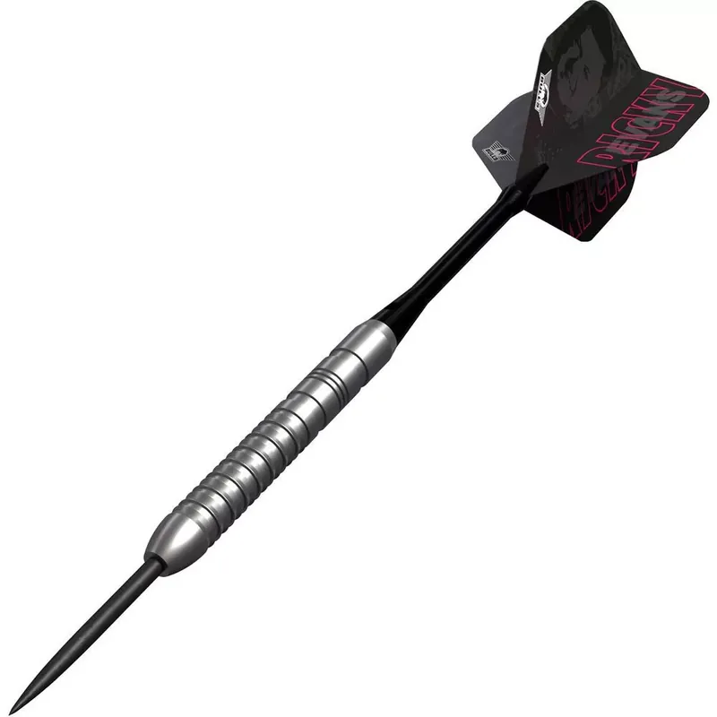 Novinka Šipky steel Bulls Ricky Evans E2 21g, 80% wolfram