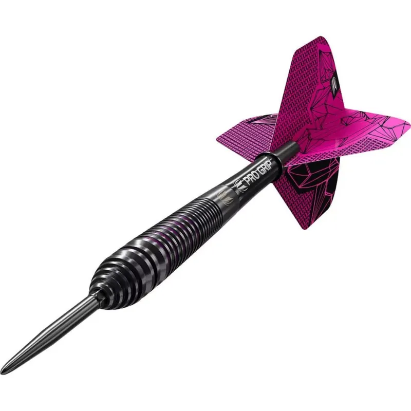 Šipky steel Target Lorraine Winstanley G2 24g SP 90% wolfram Ověřený