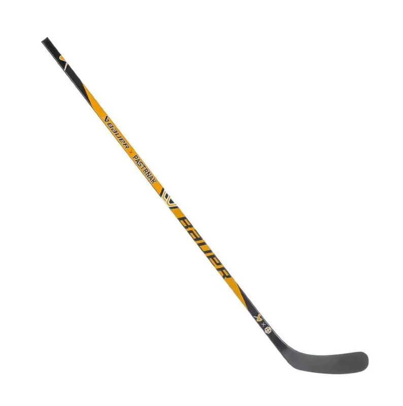 Objednat Nyní Hokejka Bauer X Pastrňák S25 SR
