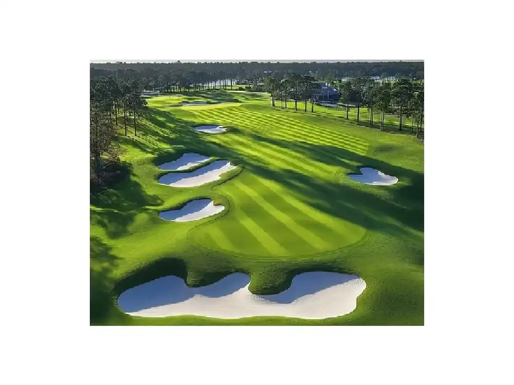 Nástěnná dekorace s golfovým motivem Bezpečná Platba