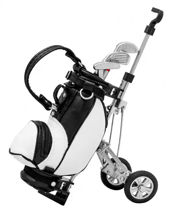 Set propisek v golfovém bagu Objednat Nyní